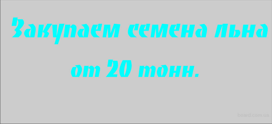 Комнатный цветок с цветами сережками Комнатный цветок с цветами сережками