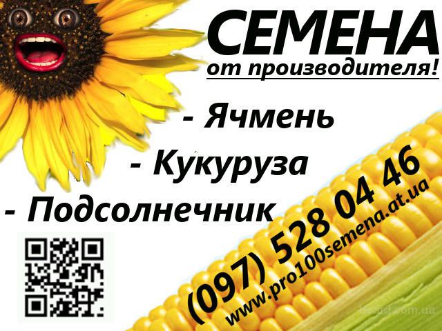 Сорт томатов алтайский шедевр отзывы Сорт томатов алтайский шедевр отзывы