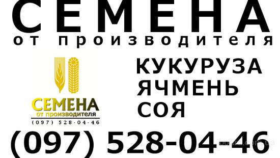 Семеноводческое хозяйство семена Семеноводческое хозяйство семена