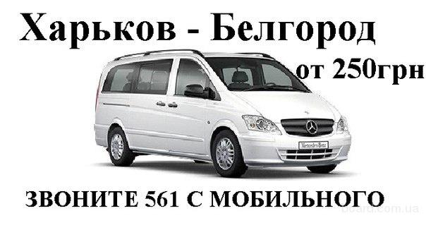 Фотографии и видео со свадьбы принца Гарри и Меган Маркл