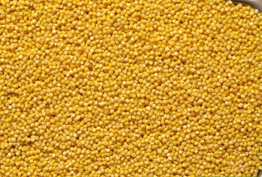 Компании : продукты питания оптовая продажа овощи фрукты Приборы для экспресс-анализа качества нефтепродуктов