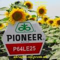 Pioneer производитель семена Pioneer производитель семена