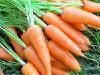 продам овощи