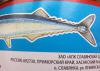 Консервы сайра продам