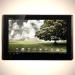 Asus eepad tf101 (TF101-1B202A)