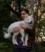 Продается малышка Панди сука самоеда