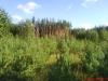 Продам жилой дом в лесу в глуши на хуторе. Щорский р-н. село Привольное,