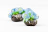 Обучаю стеклодувному мастерству (lampwork)