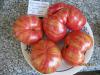 Продам семена томатов (помидор) от 06.02.17
