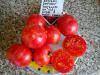 Продам семена томатов (помидор) от 06.02.17
