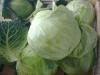 Капуста на продажу Македонија