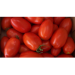 Продам рассаду