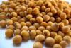Куплю сою
