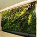 Вертикальное озеленение на любой вкус с GreenWalls