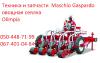Овощная Сеялка гаспардо Олимпия Maschio gaspardo
