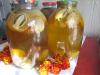 Лечебный гриб "Веселка"
