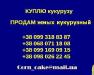 Куплю   кукурузу