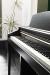 Kawai ca 15