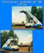 Baggage carts ( Made in Ukraine)