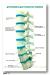 классический лечебный массаж