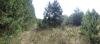 Продам земельный участок