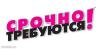 Промоутер,