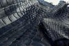 Продам кожу крокодила