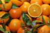 Продаем апельсины (Египет)