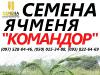 ячмень командор продам семена 0975280446