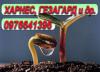 харнес 0976641396