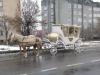 Продам карету