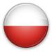 Профессиональный переводчик польского языка