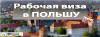 Виза в США