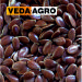 Linen seeds