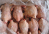 Продам курицу-несушку