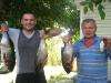 Товстолоби та карасик