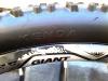 Giant talon 5