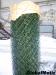 сетка рабица