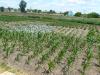Продам участок 18 соток
