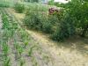 Продам участок 18 соток