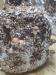 Продам грибы шиитаке Shiitake на постоянной основе