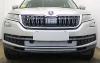 Защитная решетка бампера сетка пвс Skoda Kodiaq 2016 (Черная, серебро)
