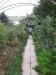Продам дом