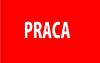 Сезонная и постоянная работа в Польше