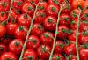 Продам семена  Томат черри Восторг Садовода