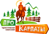 Корпоративный отдых в Карпатах