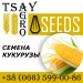 TsayAgroSeeds