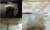 3D печать моделей любой сложности.