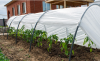 Парники, теплицы и дуги для них в интернет-магазине «Водяной»