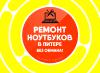 Частный мастер ноутбуков и ПК В Питере